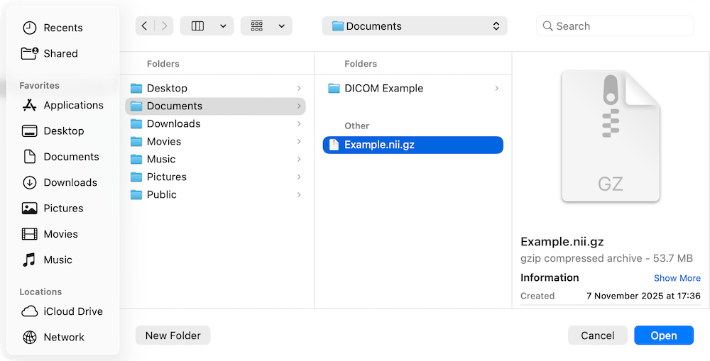 Find NIfTI File in File Explorer